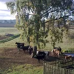 Casa di campagna Gospodarstwo Wiejskie U Zbyszka