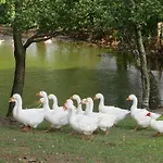 Gospodarstwo Wiejskie U Zbyszka Debogory
