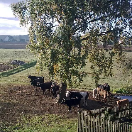 Country house Gospodarstwo Wiejskie U Zbyszka