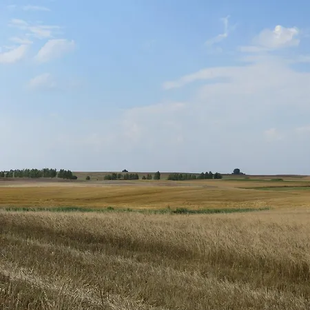 Gospodarstwo Wiejskie U Zbyszka Debogory