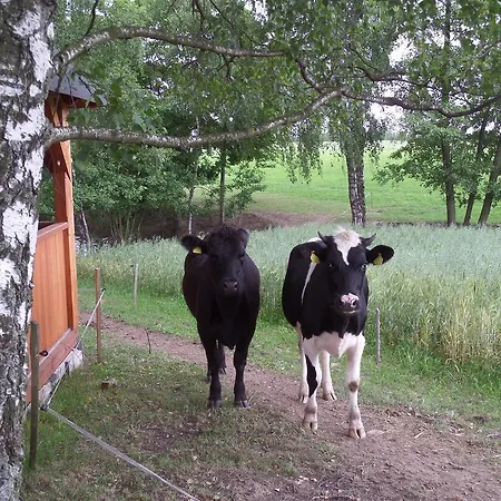 Country house Gospodarstwo Wiejskie U Zbyszka Debogory