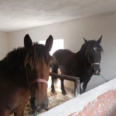 Country house Gospodarstwo Wiejskie U Zbyszka