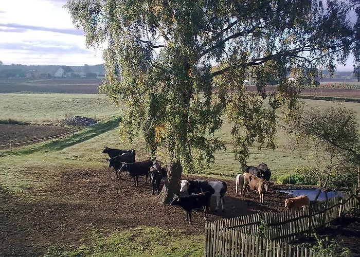 Lantställe Gospodarstwo Wiejskie U Zbyszka