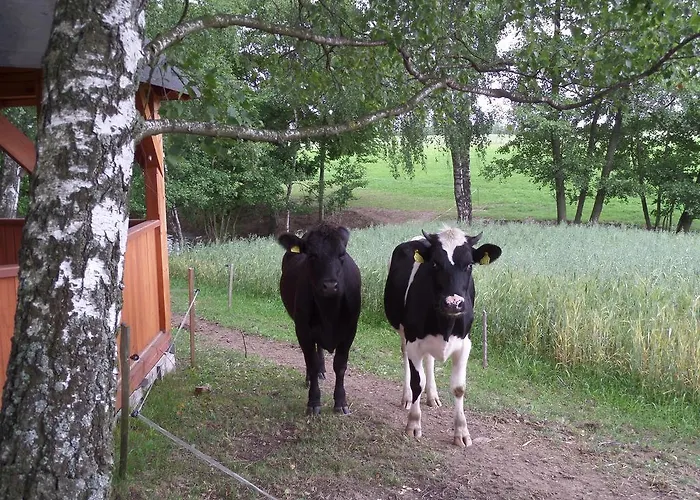 Lantställe Gospodarstwo Wiejskie U Zbyszka Debogory