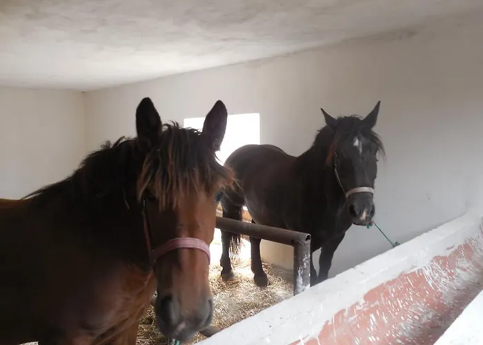 Lantställe Gospodarstwo Wiejskie U Zbyszka